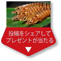 投稿をシェアしてプレゼントが当たる