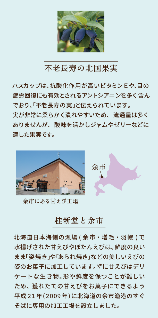北海道余市産のハスカップ