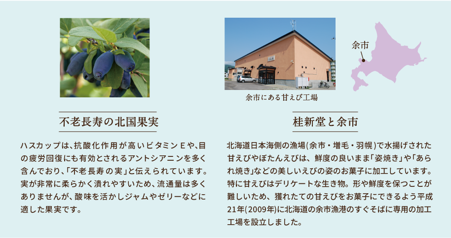 北海道余市産のハスカップ