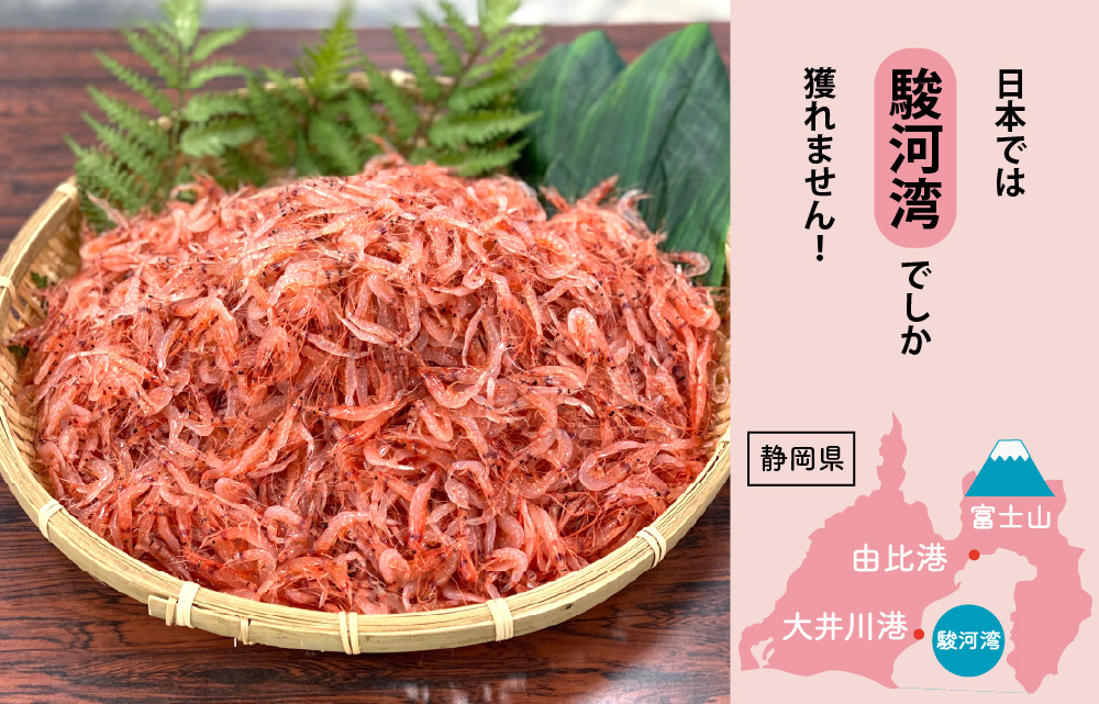 桜えびのすごい魅力1