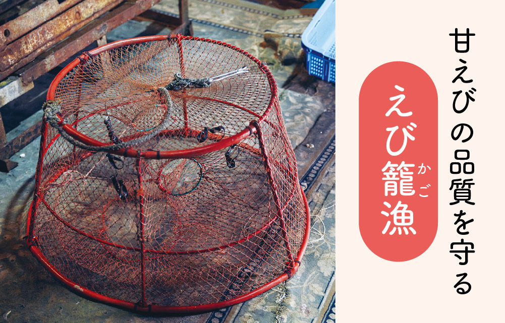 甘えびおいしさのヒミツ2